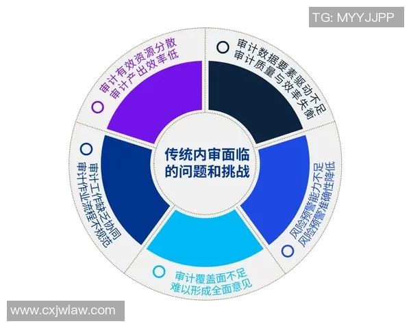 重庆乒乓球队的转型之路：从传统强队到现代化竞技新模式的探索与实践