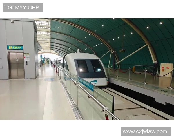 上海飞盘队近期状态分析与未来发展展望探讨