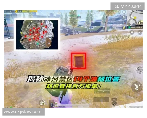 探讨FPX在和平精英中的心理素质与团队表现的关系