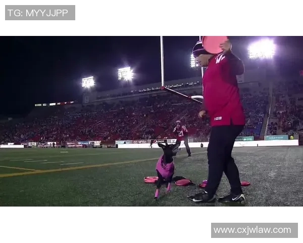 重庆飞盘队区域防守新策略探讨与实践成果分析