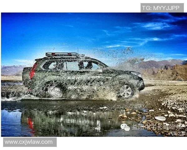 阿拉斯克与奥林的较量探秘两队实力与战术的深度分析