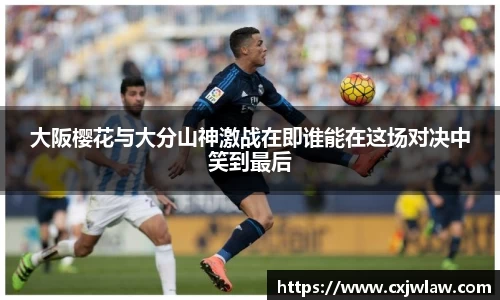多宝官方网站