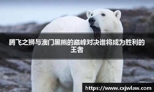 腾飞之狮与澳门黑熊的巅峰对决谁将成为胜利的王者